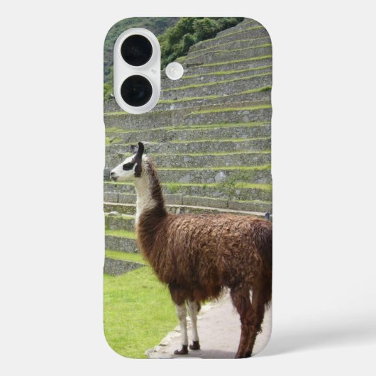 ラマ3 Case-Mate iPhoneケース (裏面)