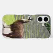 ラマ3 Case-Mate iPhoneケース (裏面 (横))