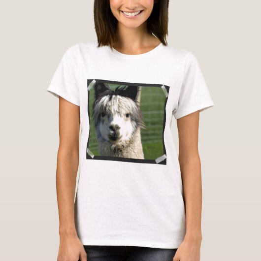 ラマ4 Tシャツ (正面)