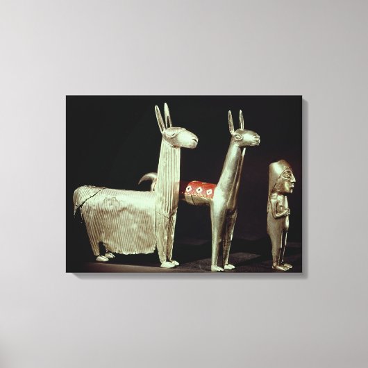 ラマ、アルパカ、女性 キャンバスプリント (正面)