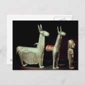 ラマ、アルパカ、女性 ポストカード (正面/裏面)