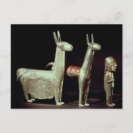 ラマ、アルパカ、女性 ポストカード (正面)