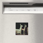 ラマ、アルパカ、女性 マグネット (インサイチュ (食洗機))