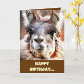 ラマ カード (黄色い花)