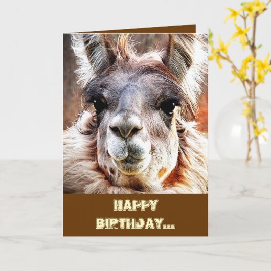 ラマ カード (黄色い花)