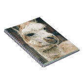 ラマ・クローズアップ ノートブック (右側)