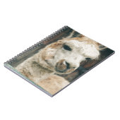 ラマ・クローズアップ ノートブック (左側)