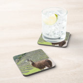 ラマ コースター (右側)