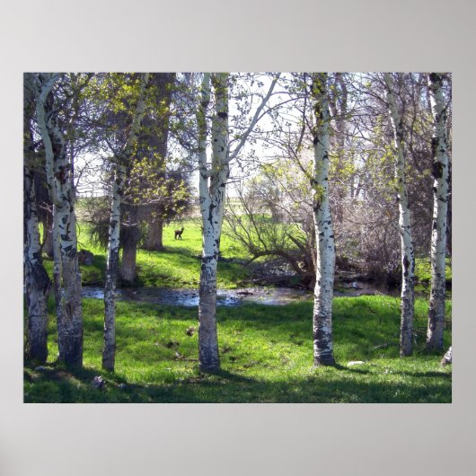 ラマ・スルー・ツリーズ ポスター (正面)