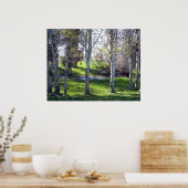 ラマ・スルー・ツリーズ ポスター (キッチン)