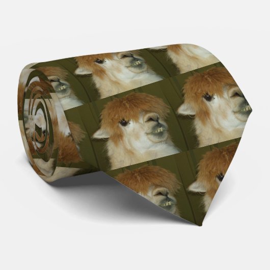 ラマ ネクタイ (ロール)