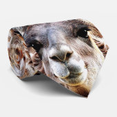 ラマ ネクタイ (ロール)