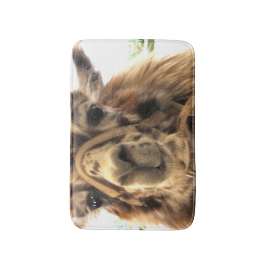 ラマ バスマット (正面縦)