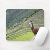 ラマ·パッド マウスパッド (マウス)