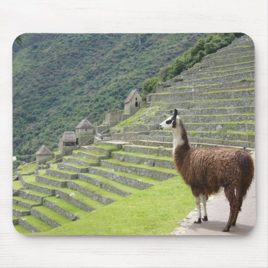 ラマ·パッド マウスパッド (正面)