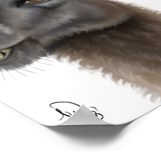 ラマ ポスター (角)