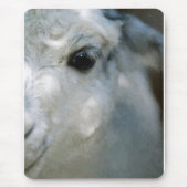 ラマ マウスパッド (正面)