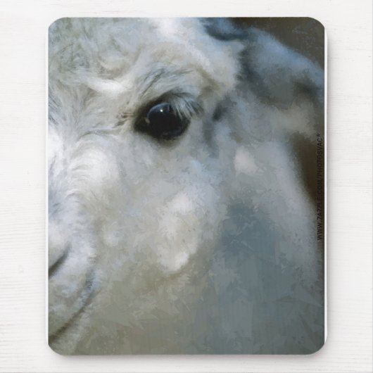 ラマ マウスパッド (正面)