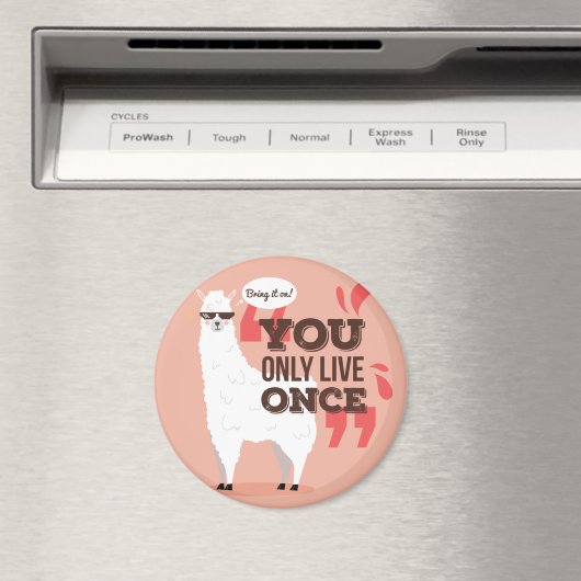 ラマ マグネット (インサイチュ (食洗機))