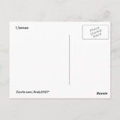 ラマ・メランジ~ポストカード ポストカード (裏面)