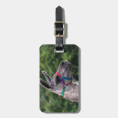 ラマ ラゲッジタグ (正面縦)