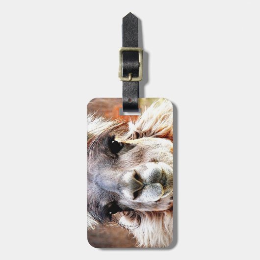 ラマ ラゲッジタグ (正面縦)