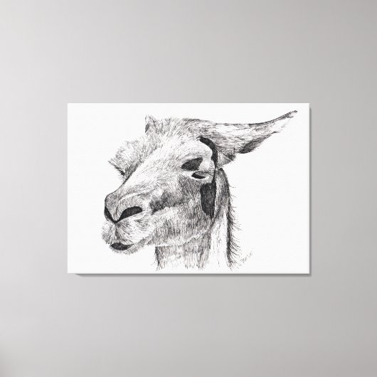 ラマ・ラブ キャンバスプリント (正面)