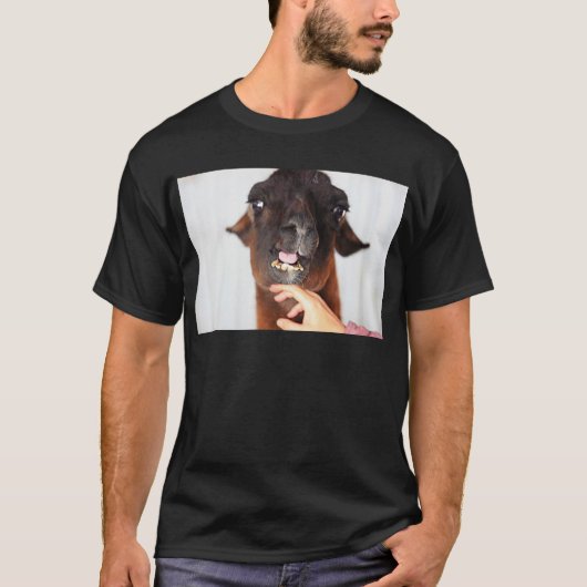 ラマ・ラブ Tシャツ (正面)