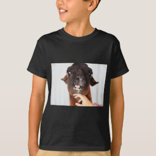 ラマ・ラブ Tシャツ