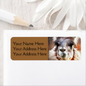 ラマ ラベル (インサイチュ)