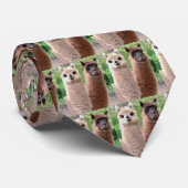 ラマ、ラマ、ラマ、ラマ、ラマ、ラマ、… ネクタイ (ロール)