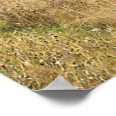 ラマ・ランチ…..... ポスター (角)