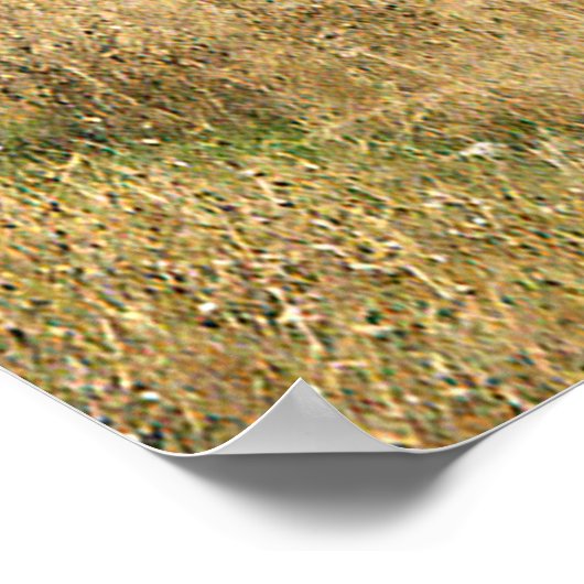 ラマ・ランチ…..... ポスター (角)