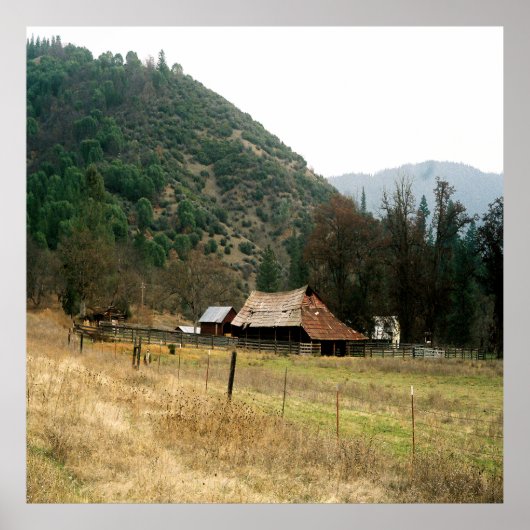 ラマ・ランチ…..... ポスター (正面)