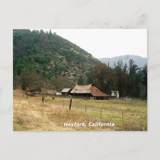 ラマ・ランチ…..... ポストカード (正面)