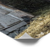 ラマ、今日の挨拶 ポスター (角)