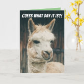 ラマ – 今日は何日か当ててみろ – 今日はハンプの日ではない カード (黄色い花)