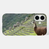 ラマ Case-Mate iPhoneケース (裏面 (横))