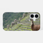 ラマ iPhone 16ケース (裏面横)