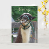 ラマLlunchの挨拶 カード (黄色い花)