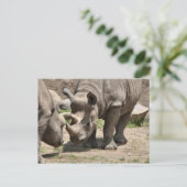 ラミック・デュオ ポストカード (スタンド正面)