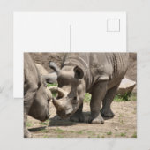 ラミック・デュオ ポストカード (正面/裏面)