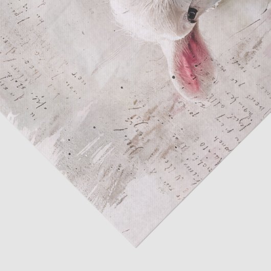 ラムかわいらしピンクワイルドフラワーデコップページ 薄葉紙 (詳細)