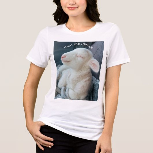 ラムちゃんのプリンス Vern 助手席就任 トライブレンドTシャツ (正面)
