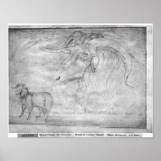 ラムとラムのヘッド ポスター (正面)