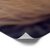 ラムアニマル自然威厳のある荒野 ポスター (角)