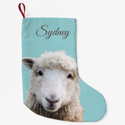 ラムオンブルーカスタムストッキング スモールクリスマスストッキング (正面)