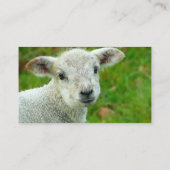 ラムシープ編み物インストラクター 名刺 (裏面)