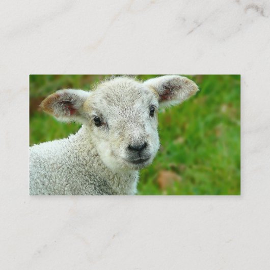 ラムシープ編み物インストラクター 名刺 (裏面)