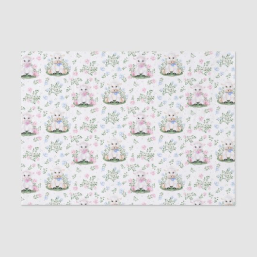 ラムジェンダーが赤ちゃんシャワーを明らかにする 薄葉紙 (正面)